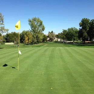 #9 Green looking back at the tee box.