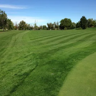 #3 fairway, looking back at the tee box.