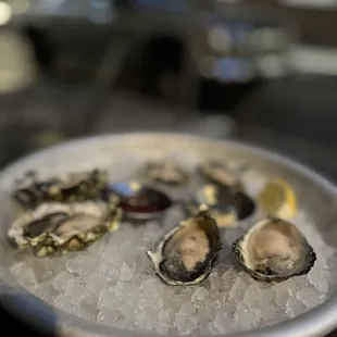 3 Oysters on the Half Shell