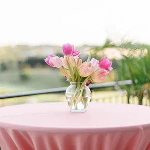 Alison Mish Photography