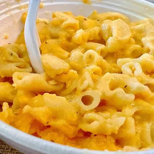 food, pasta, pasta dish