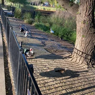 Southside Park