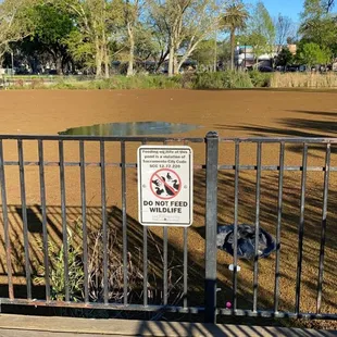 Dirty pond