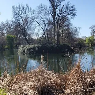Southside Pond