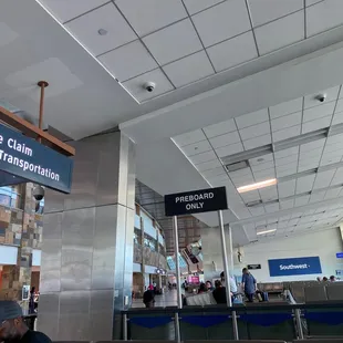 About to take flight