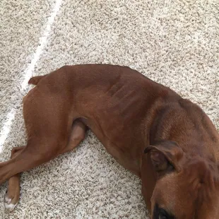 Weight loss while in their care