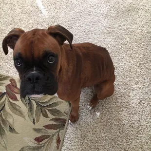 Weight loss while in their care