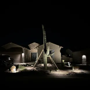Cactus replanted and lighted in our front yard