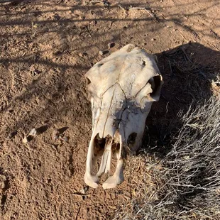 Don't forget to hydrate!