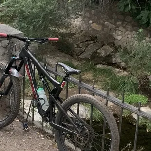 A beautiful day for a bike ride