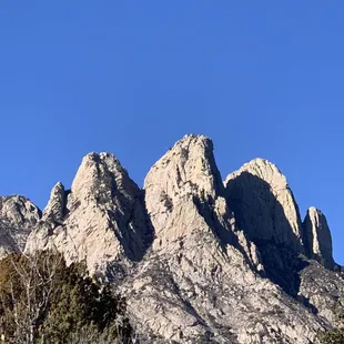 The Rabbit Ears in the Organs