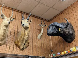 Ron Peterson Firearms