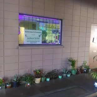 Outside Southwest Kratom front door