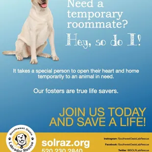 Fosters save lives!