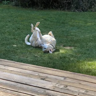 So much fun on a spring day!