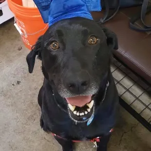 Congratulations, Graduate Sam!