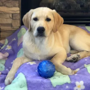 Molly is loving life with her forever family.