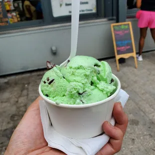 Mint Chocolate Chip