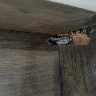 More damage and no nuts on the bolts...it scented so it isn't coming down...we tried..