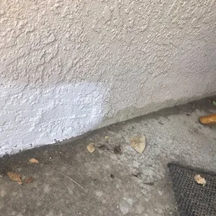 Didn't bother to come finish this.