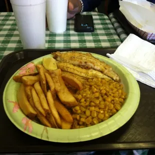 The food is good and hot and tasty and plentiful. This is the catfish filet.