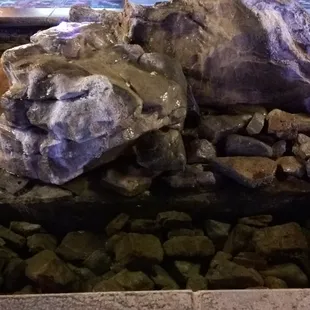 The centerpiece when you walk in. Weird looking rock with water.