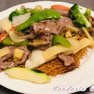 Beef Pan Fried Noodle