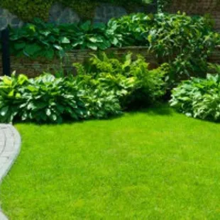 a garden with green grass