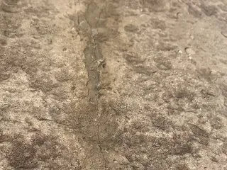 Bomanite Artistic Concrete & Pools