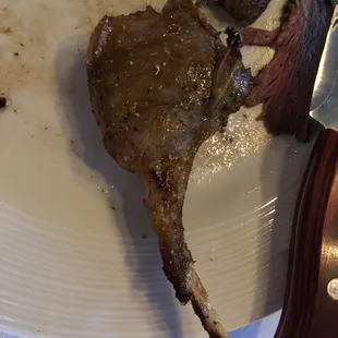 The lamb! Worth the $!