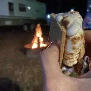 Family fun roasting marshmallows and eating s'mores