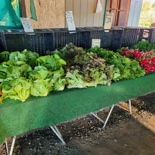 Buy local, support local