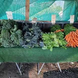 Support local agriculture!!!