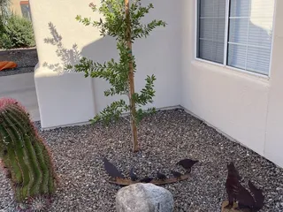 Rillito Nursery & Garden Center