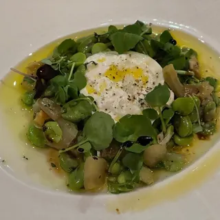 Pugliese Burrata & Prosciutto di San Daniele