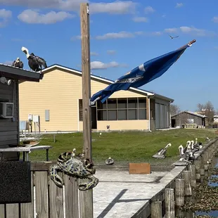 View from the side of the patio