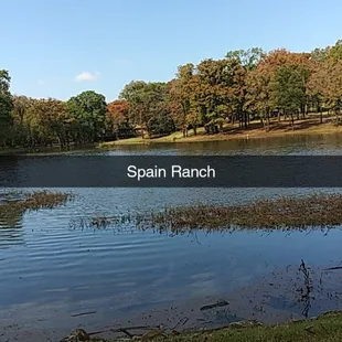 The pond on the property