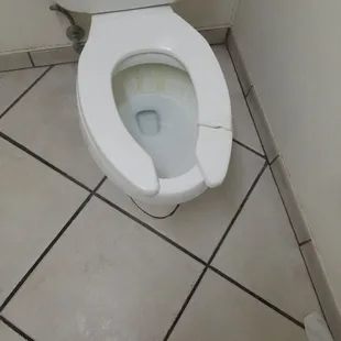 Bathroom was pretty clean except for some toilet paper on floor. But a broken toilet seat fixed with packing tape? Gross!