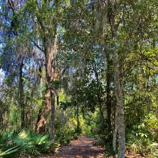 Spanish Pond