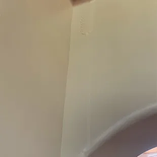 blistered paint from the water leak in our roof