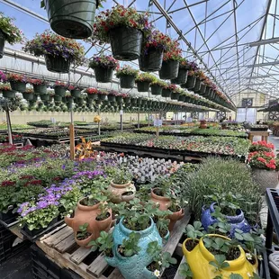 large selection of flowers!