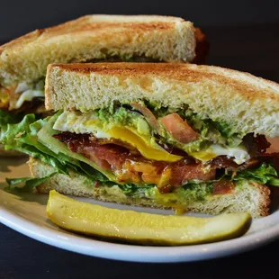 a sandwich on a plate with a pickle