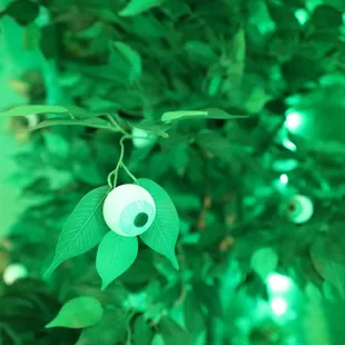 PRISMATIC event attraction