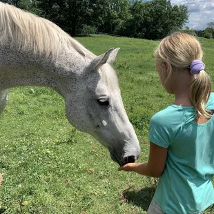 (Spark - Stillwater)