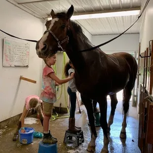 (Spark - Stillwater)