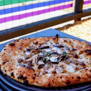 The Fun-Gal: garlic confit, foraged &amp; found mixed mushrooms, Taleggio, mozzarella, chili flakes ($22).