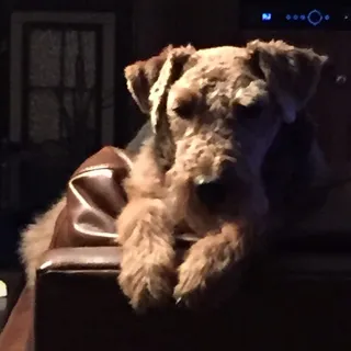 P W.