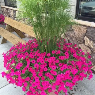 Outside Sparks Grill, June 2015