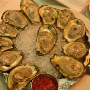 Oysters on the Half Shell