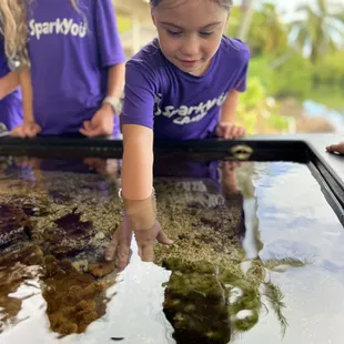 Touching the corals.